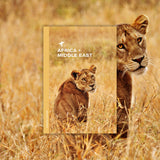 The 2025 Andrew Harper Collection - Africa & the Middle East