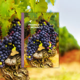 The 2025 Andrew Harper Collection - France & Monaco