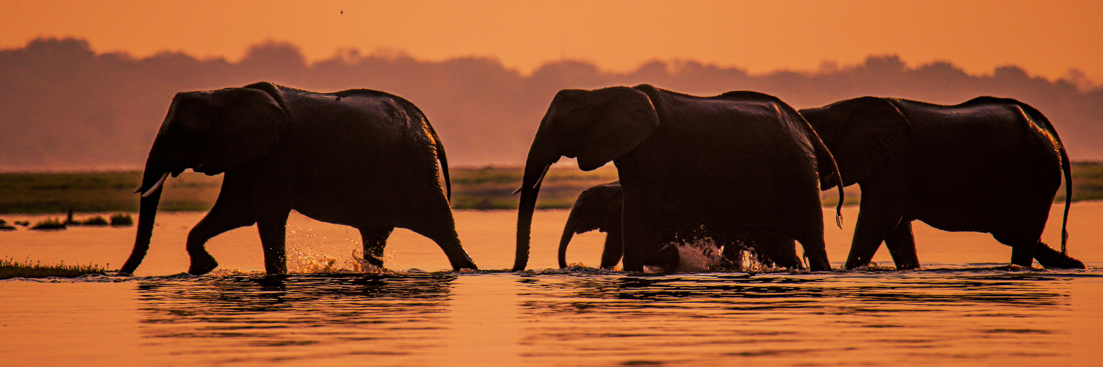 Why Andrew Harper Is Worth It: An Editor Tell-All